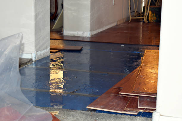 Professional Water Damage Restoration technician working in Monticello, IA